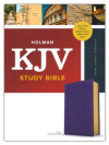 KJV Full Colour Study Bible - Leathertouch Plum 